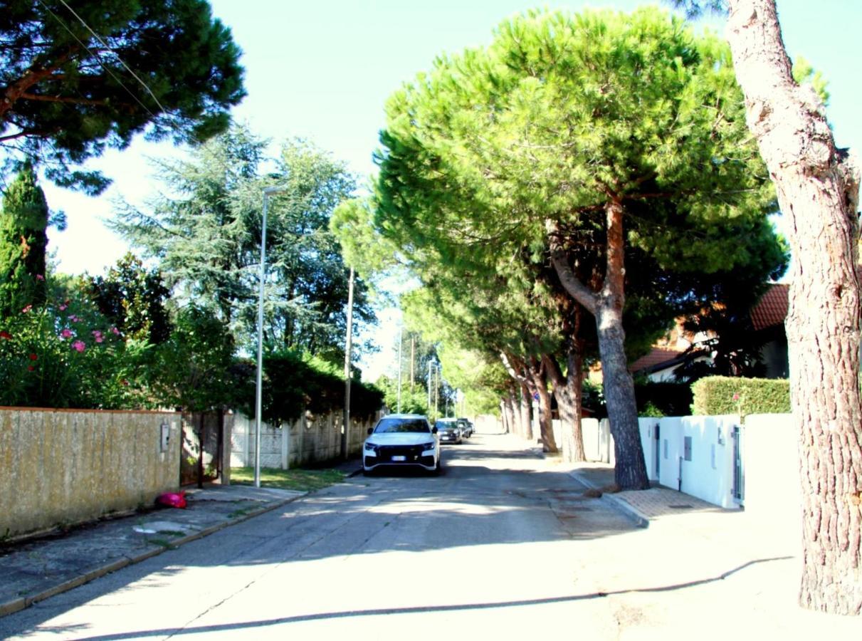 Sole * Lido di Scacchi